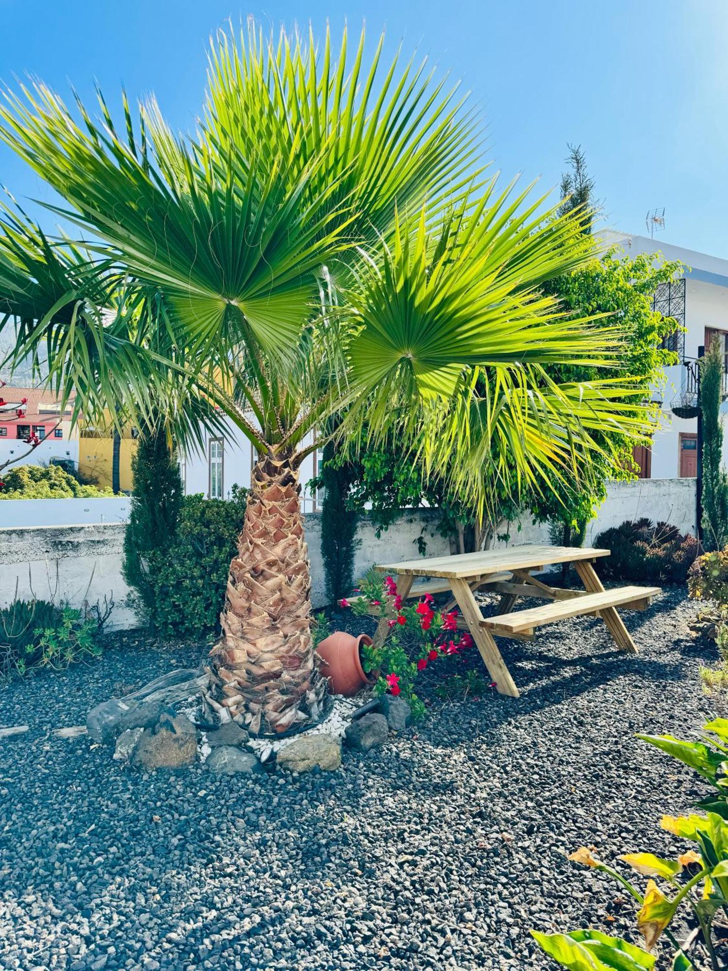 Bungalow Los Laureles El Paso Exterior photo